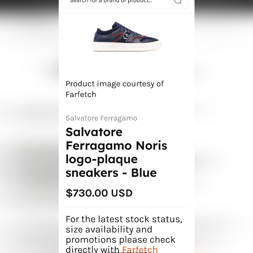Salvatore Ferragamo Men shoes